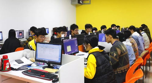 喜報(bào) | 我校在“巴渝工匠杯”2019年重慶市互聯(lián)網(wǎng)信息技術(shù)職業(yè)技能競賽中榮獲佳績